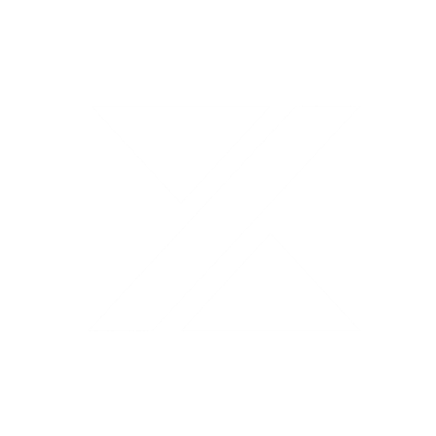 ViXion Logo